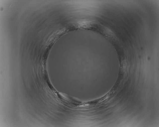 X0000056330506200508291255