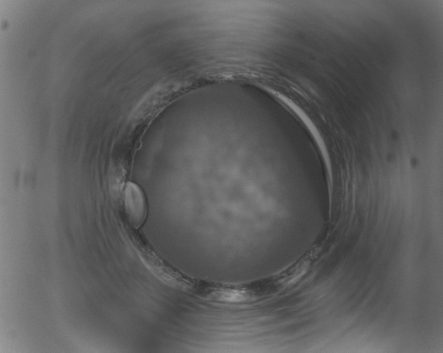 X0000056330507200508291255