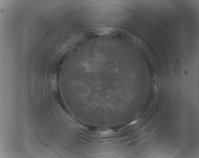 X0000056330510200508291255