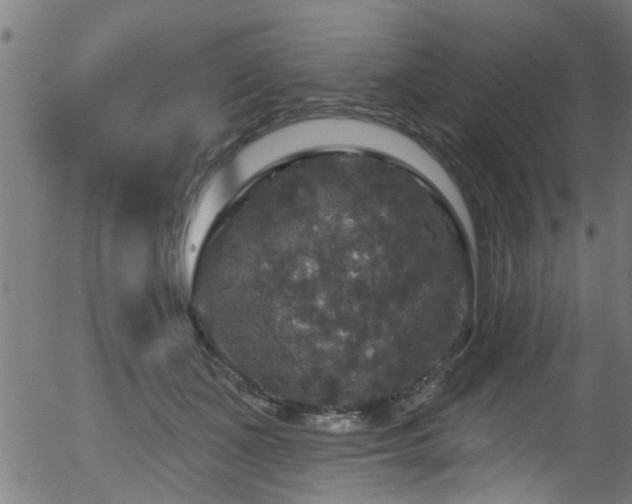 X0000056330511200508291255