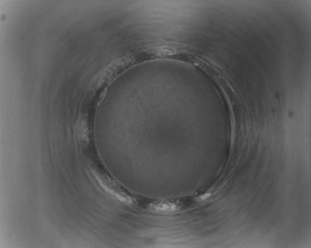 X0000056330512200508291255