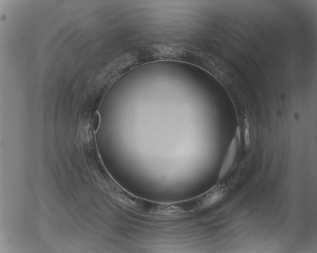 X0000056330514200508291255