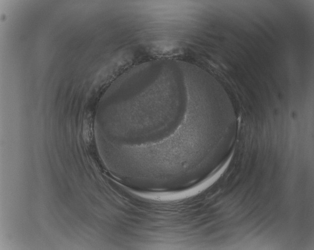 X0000056330515200508291255