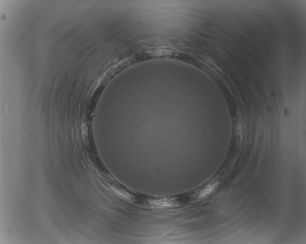 X0000056330516200508291255