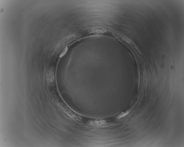 X0000056330517200508291255