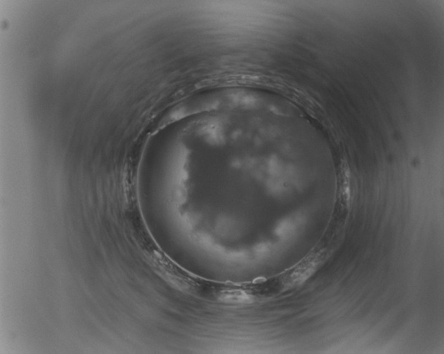 X0000056330519200508291255