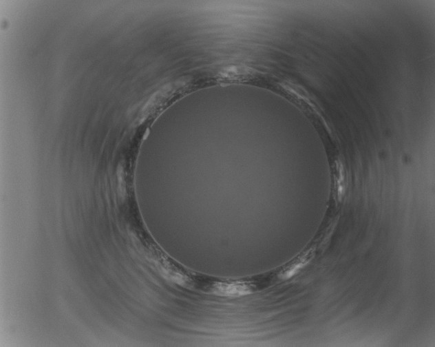 X0000056330520200508291255