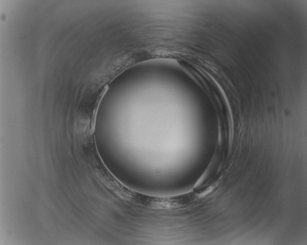 X0000056330521200508291255