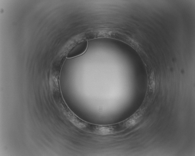 X0000056330522200508291255