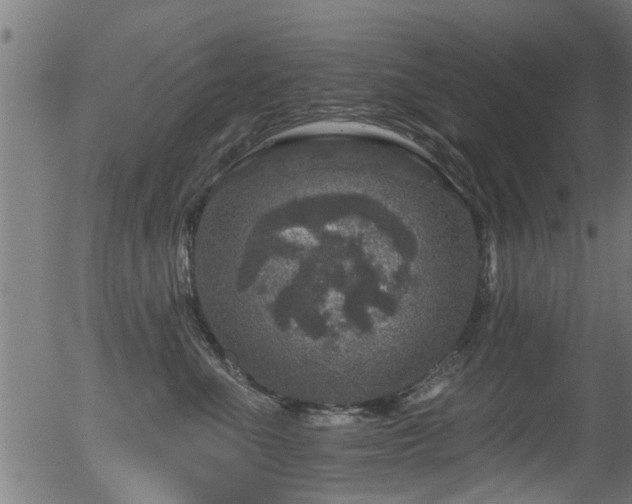 X0000056330523200508291255