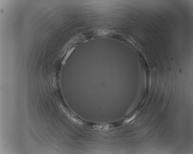 X0000056330524200508291255