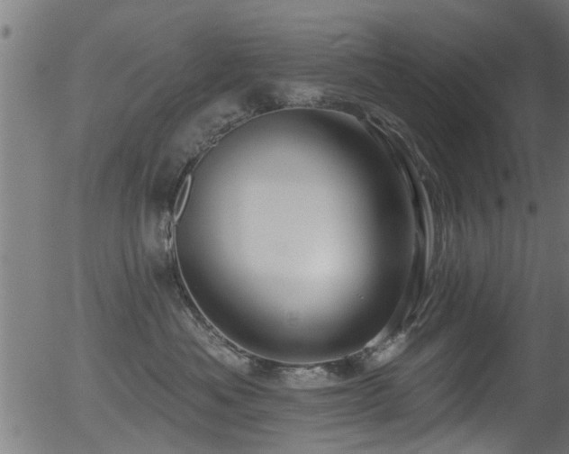 X0000056330525200508291255