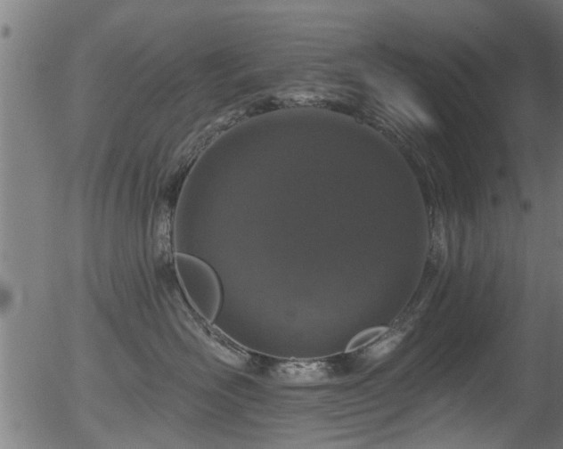 X0000056330526200508291255