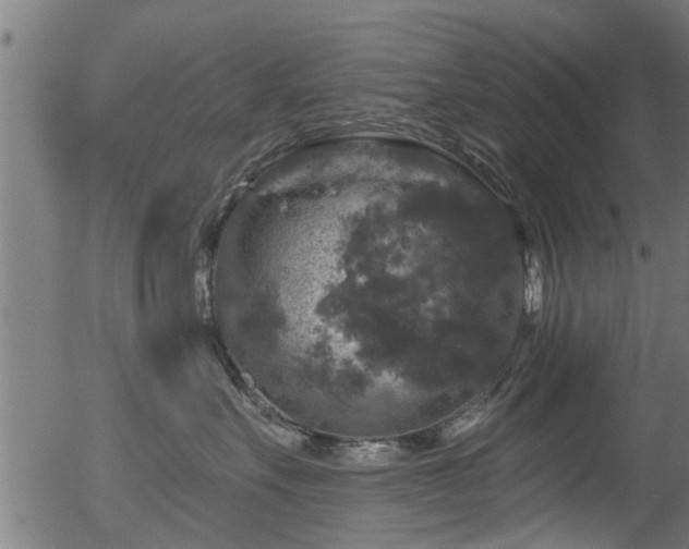 X0000056330527200508291255