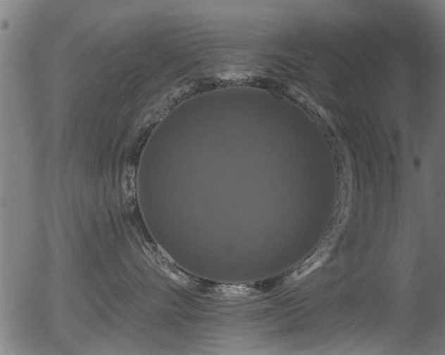 X0000056330528200508291255