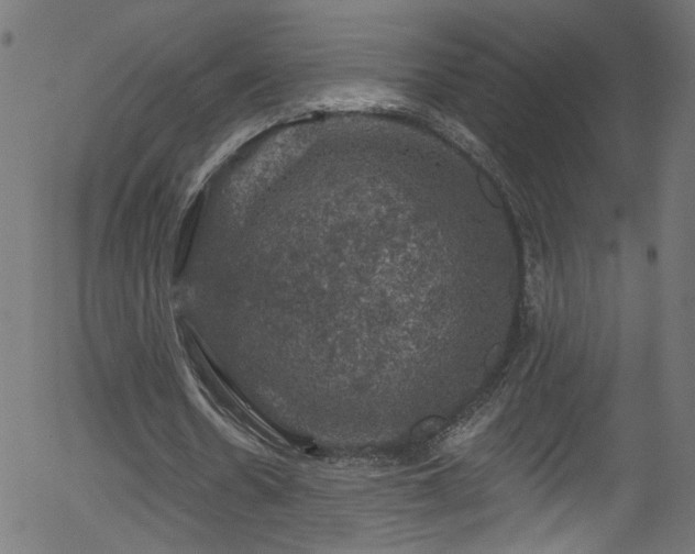 X0000056330530200508291254