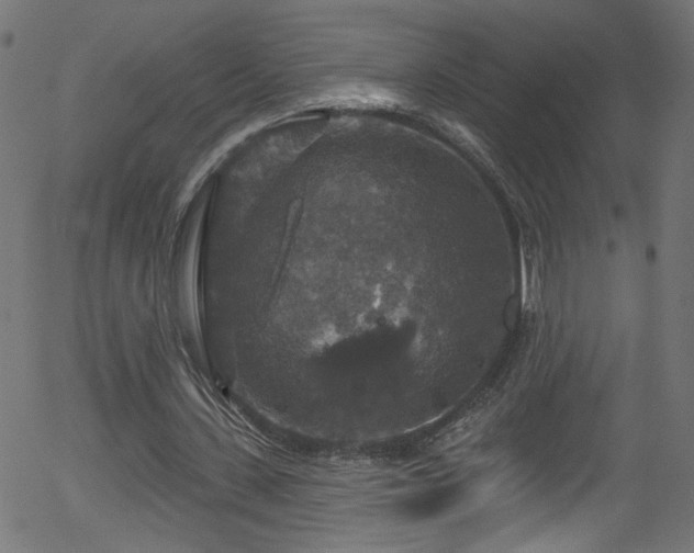 X0000056330531200508291254