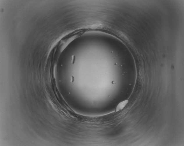 X0000056330532200508291254