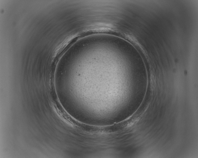 X0000056330533200508291254