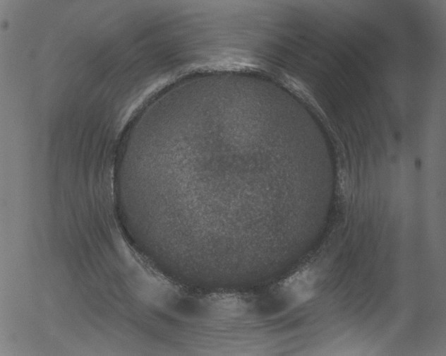 X0000056330534200508291254