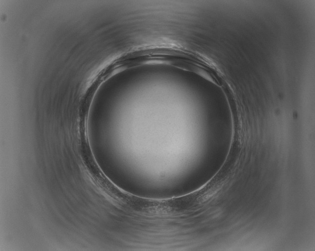 X0000056330535200508291254