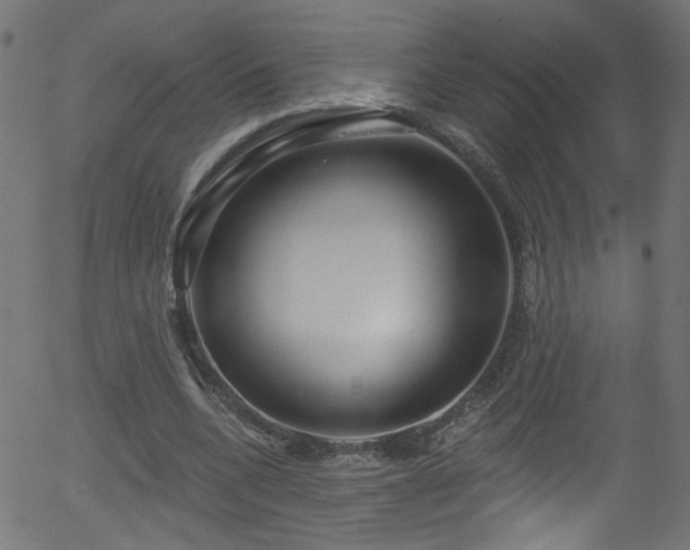 X0000056330536200508291254