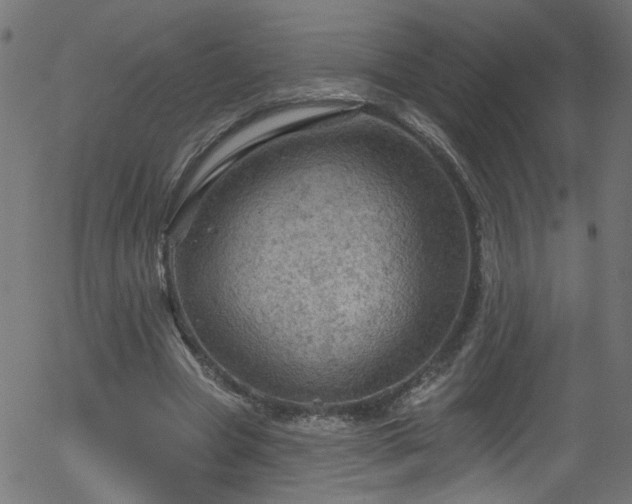 X0000056330537200508291254