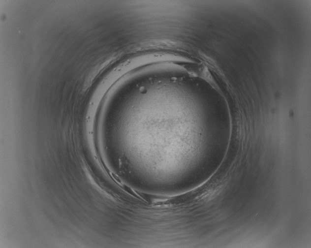 X0000056330538200508291254