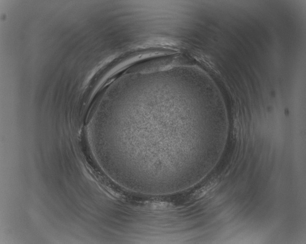 X0000056330539200508291254