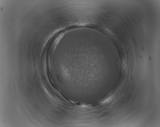 X0000056330540200508291255