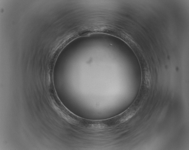 X0000056330541200508291255