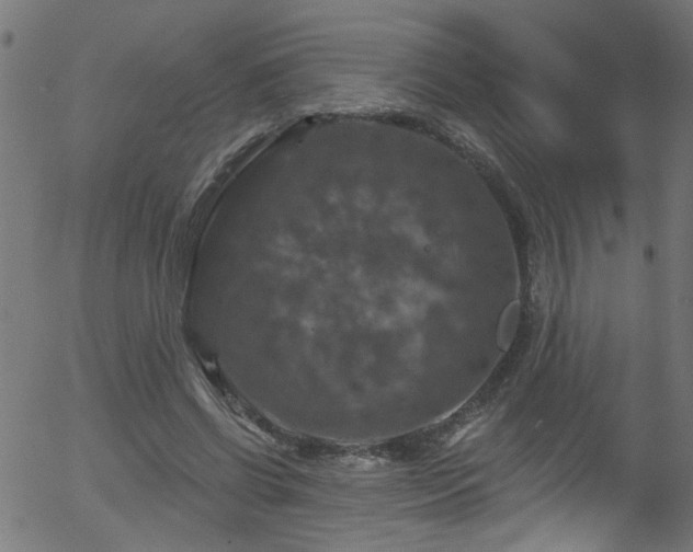 X0000056330542200508291255