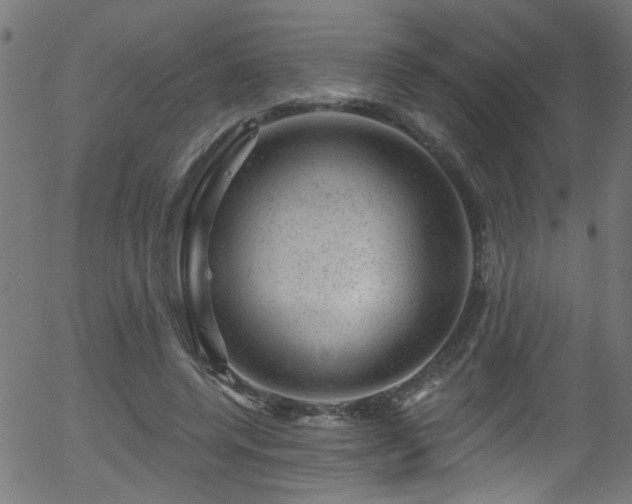 X0000056330544200508291255