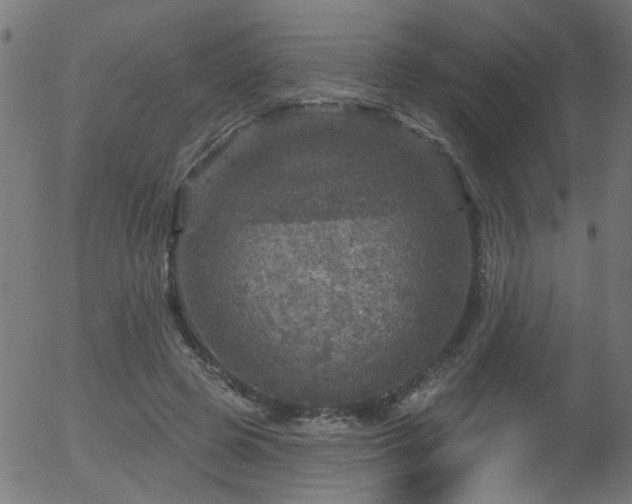 X0000056330545200508291255