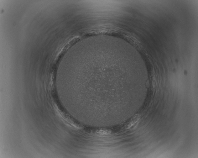 X0000056330546200508291255