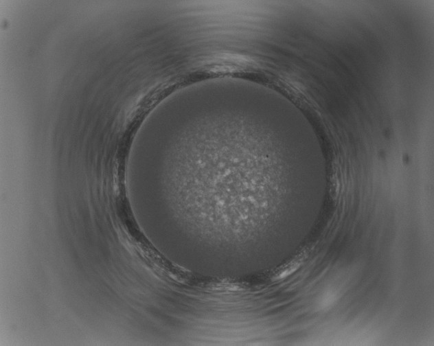 X0000056330547200508291255