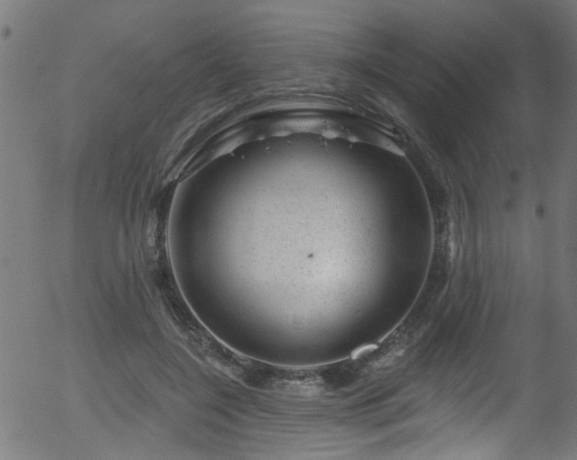 X0000056330548200508291255