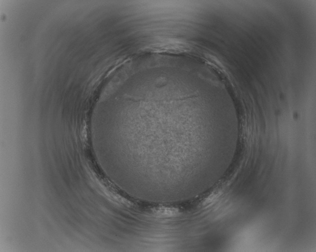 X0000056330549200508291255