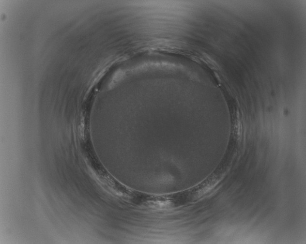 X0000056330552200508291255