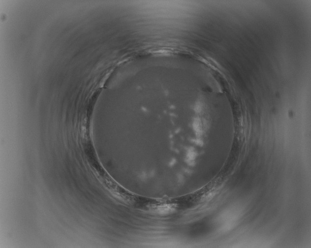 X0000056330553200508291255