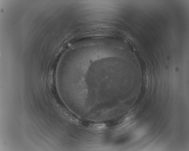 X0000056330554200508291255