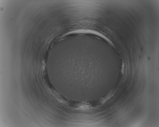 X0000056330555200508291255