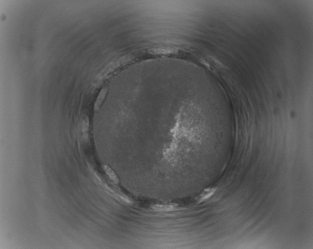 X0000056330556200508291255