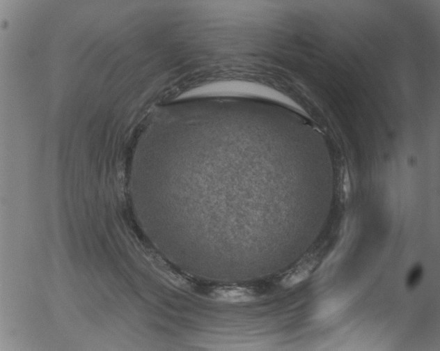 X0000056330557200508291255