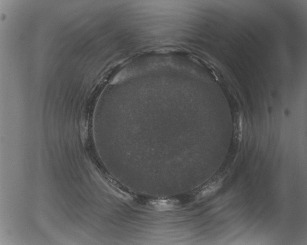 X0000056330558200508291255