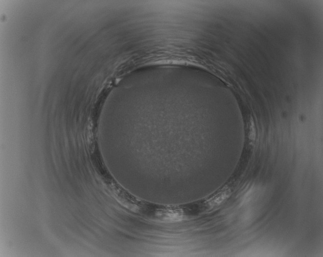 X0000056330559200508291255