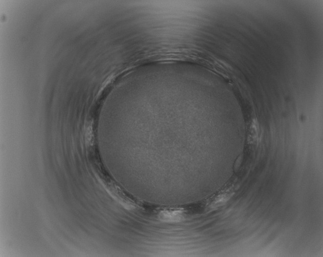 X0000056330560200508291255