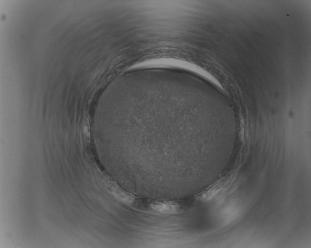 X0000056330561200508291255