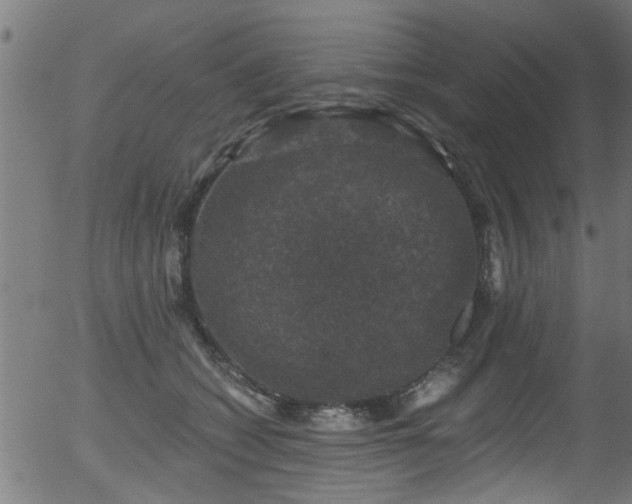 X0000056330562200508291255