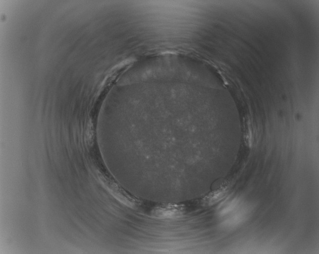 X0000056330563200508291255